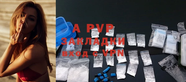 ECSTASY Медвежьегорск