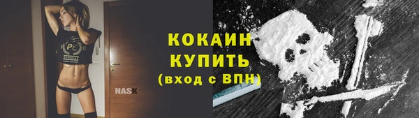 шишки Мегион
