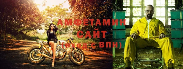 шишки Мегион