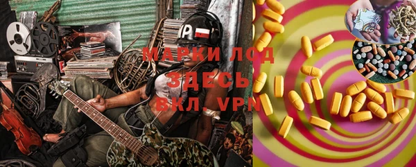 шишки Мегион