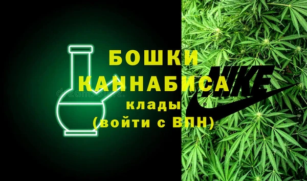 шишки Мегион