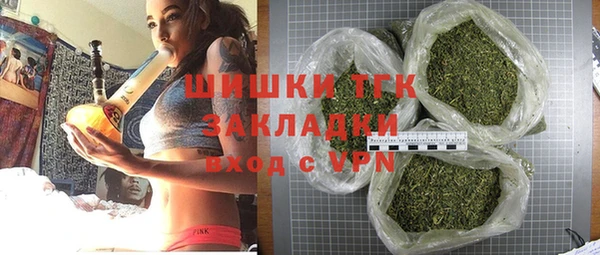 стаф Медногорск