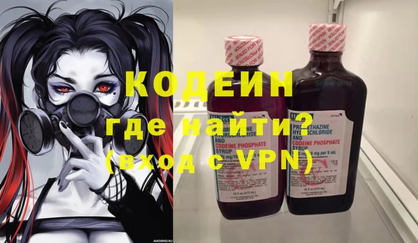шишки Мегион
