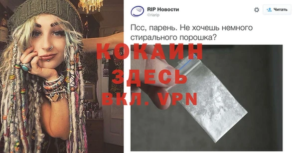 шишки Мегион