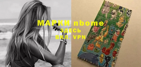 стаф Медногорск