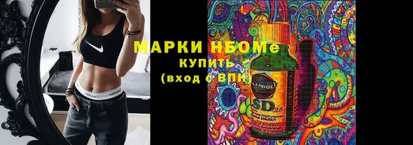 стаф Медногорск